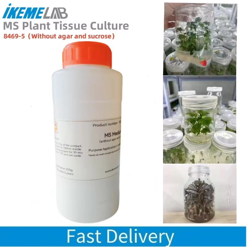 IKEME 250g Lab MS Medium Witho - Agar Tissue Culture 评论和价格