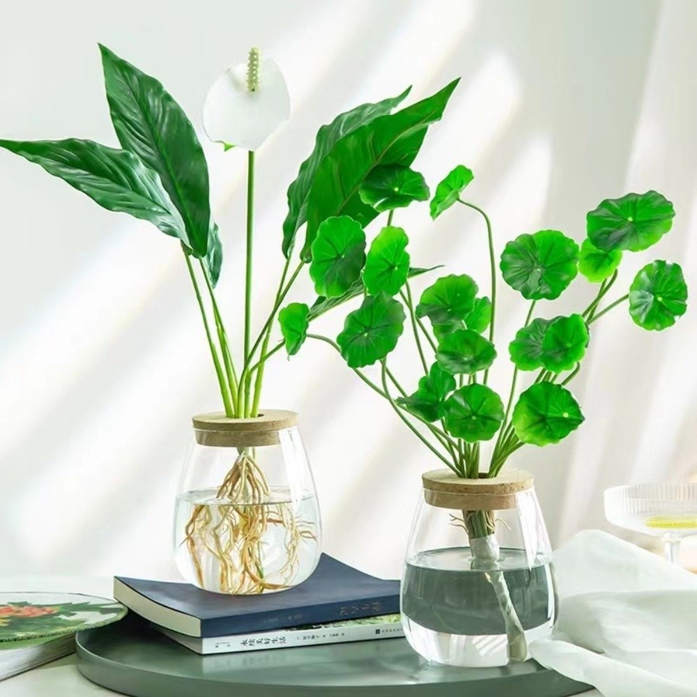 Transparent Hydroponic Flowerp - Propagation Station Vase 评论和价格
