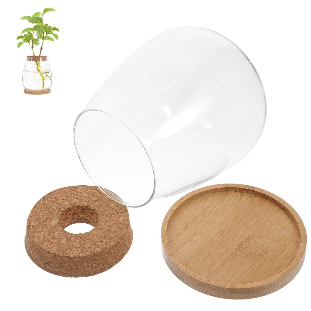 Transparent Hydroponic Flowerp - Propagation Station Vase 评论和价格