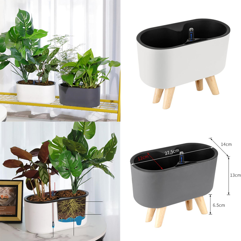 Indoor Plant With Indicator Wo - Self Watering Insert 评论和价格