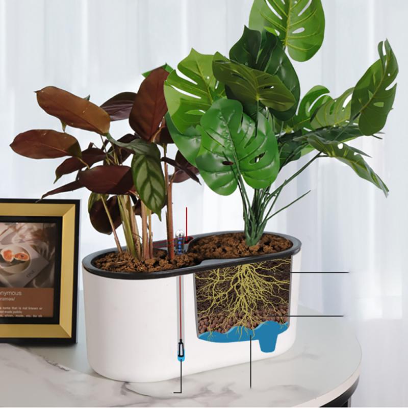 Indoor Plant With Indicator Wo - Self Watering Insert 评论和价格