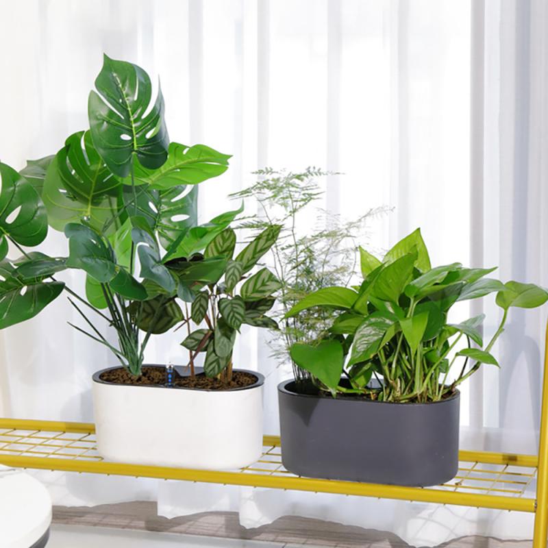Indoor Plant With Indicator Wo - Self Watering Insert 评论和价格