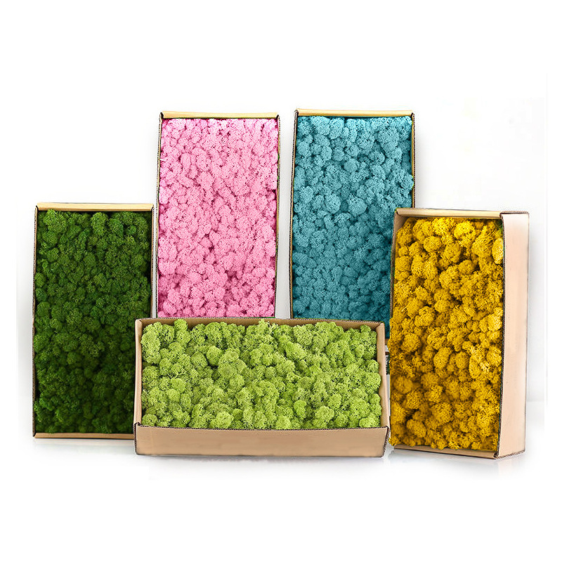 Artificial Green Plants Mini L - Sphagnum Moss Dry 评论和价格