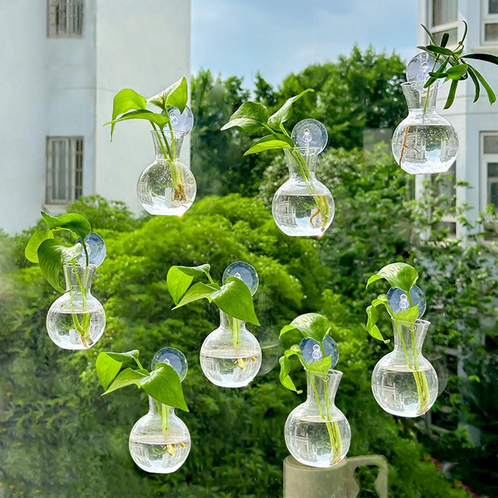 1/2/3/4/6/8Pcs Plant Propagati - Propagation Station Vase 评论和价格